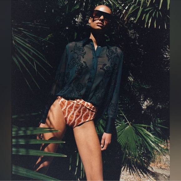 Zara Embroiled Semi Sheer Top - Picture 2 of 8